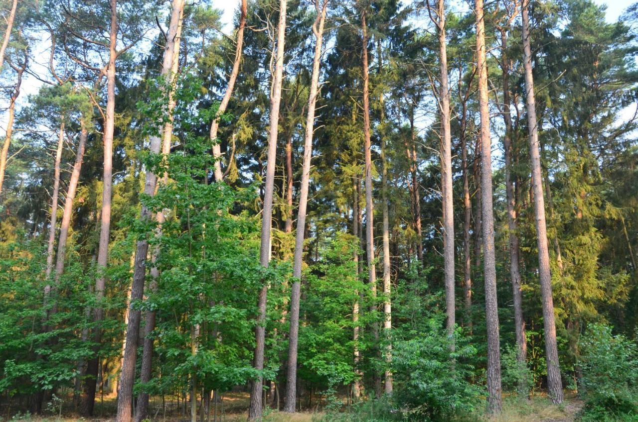 Apartament Blue Mare Pod Wiewiorka Łukęcin Kültér fotó